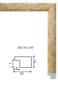 mf1611-09