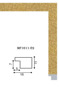 mf1611-89